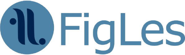 FigLes Marketing – Agencia de marketing digital especializada en turismo en Argentina